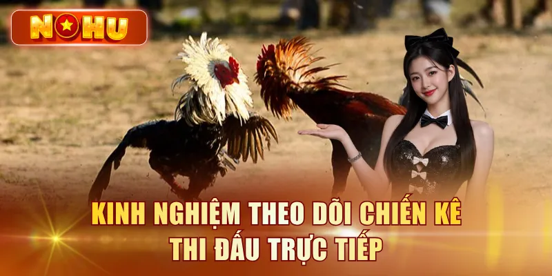 Kinh nghiệm theo dõi chiến kê thi đấu trực tiếp